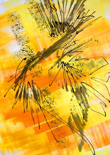 Stolzer Pfau – Öl · 50 × 70 cm · 2004